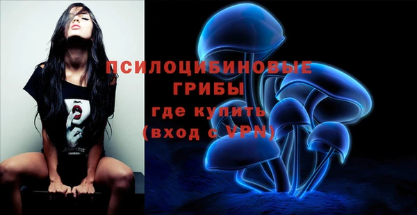 ешки Белоозёрский