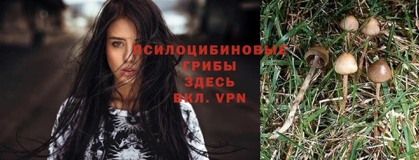 экстази Инсар