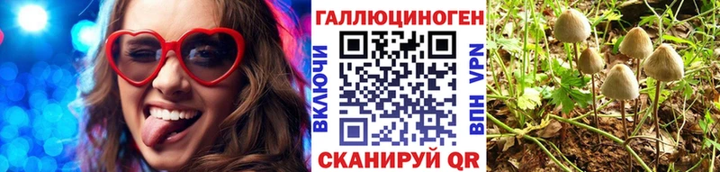 Галлюциногенные грибы Psilocybine cubensis  дарнет шоп  Славгород 