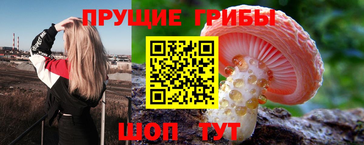 Псилоцибиновые грибы Psilocybe  Вход с VPN  Славгород  Галлюциногенные грибы Cubensis 